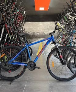 Bicicleta gravity r29