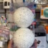 esfera x2